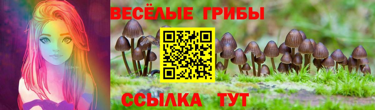 Аша  Псилоцибиновые грибы прущие грибы  Вход с VPN 