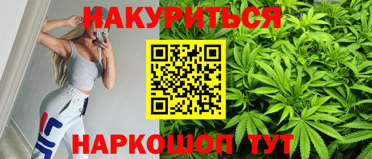 Марихуана сатива Аша